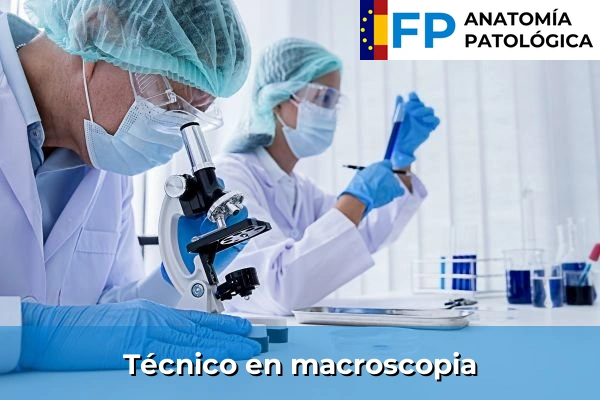 FP de Anatomía Patológica y Citodiagnóstico 65 Técnico en macroscopia